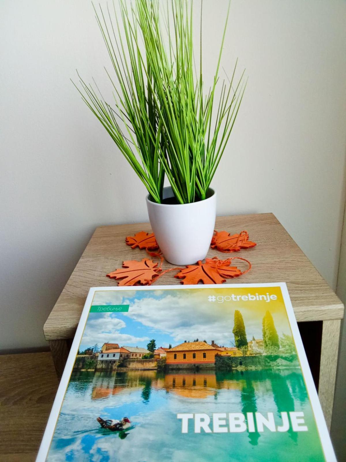 Appartement Hajdi *