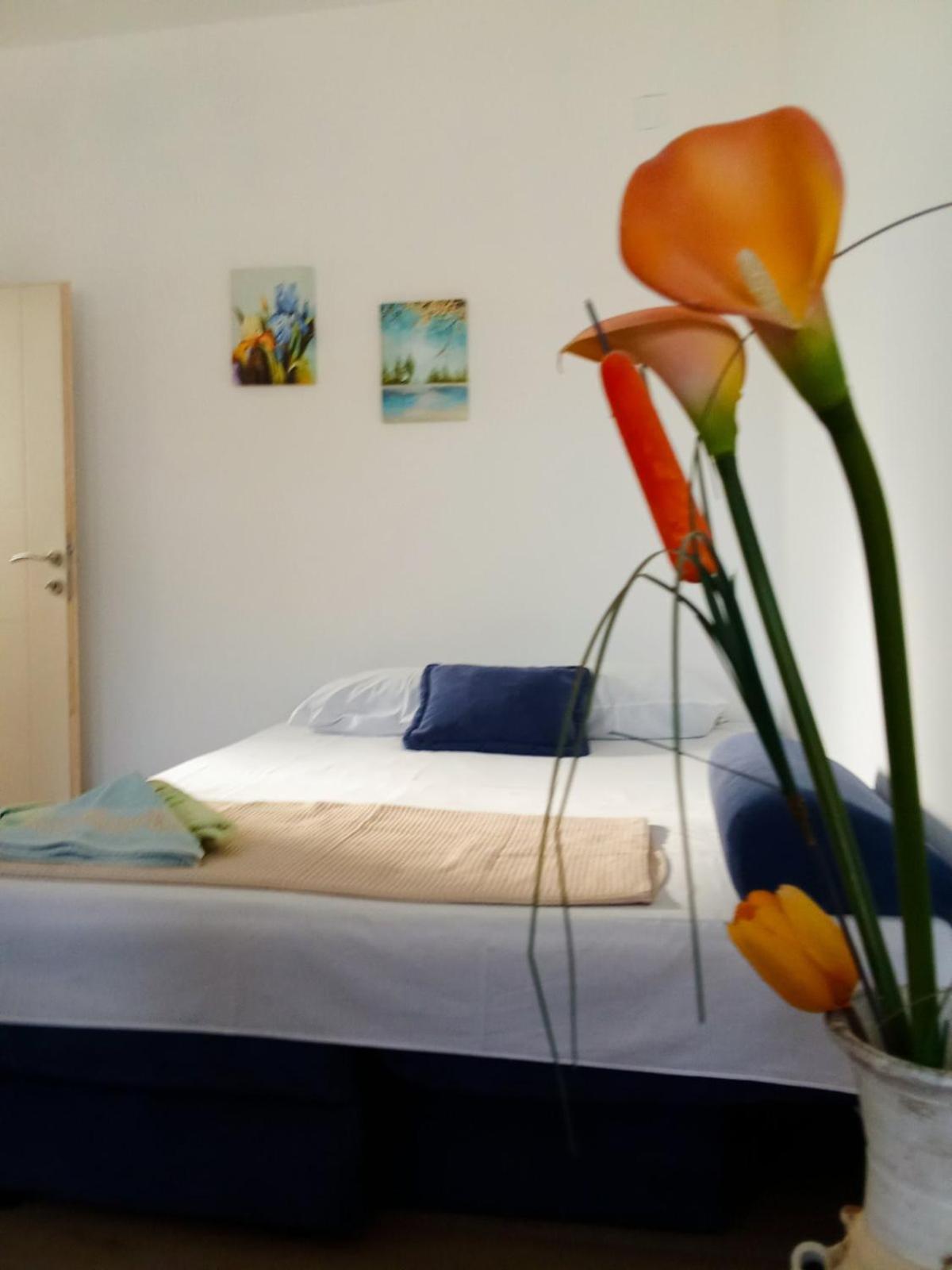 Hajdi Appartement *